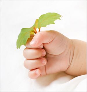 Fertility Preservation