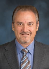 Michael Vermesh M.D.